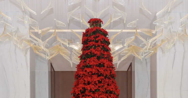 «سانت ريجيس» و«شيراتون» و«فوربوينتس» تحتفي بالأعياد... بتجربة راقية 