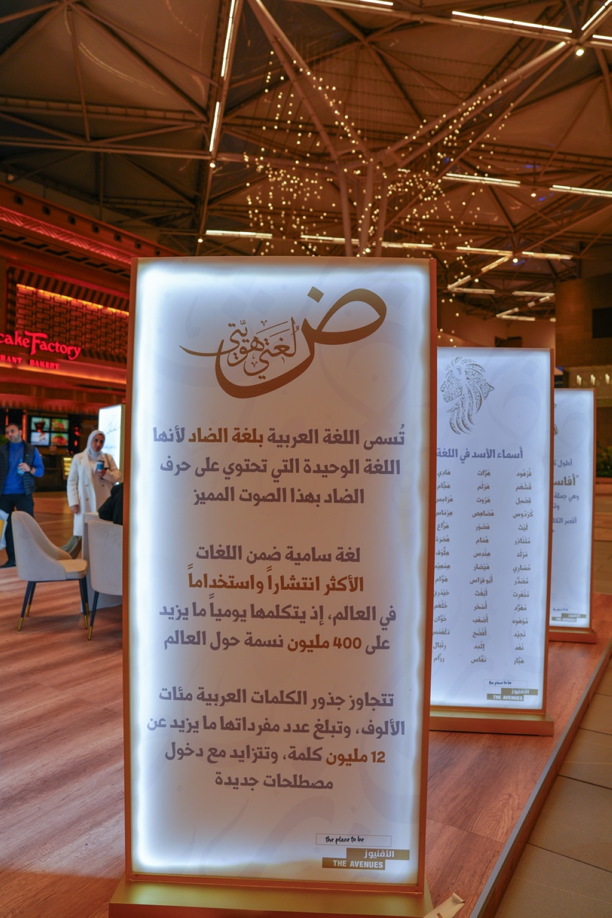 جانب من عجائب ودرر لغة الضاد