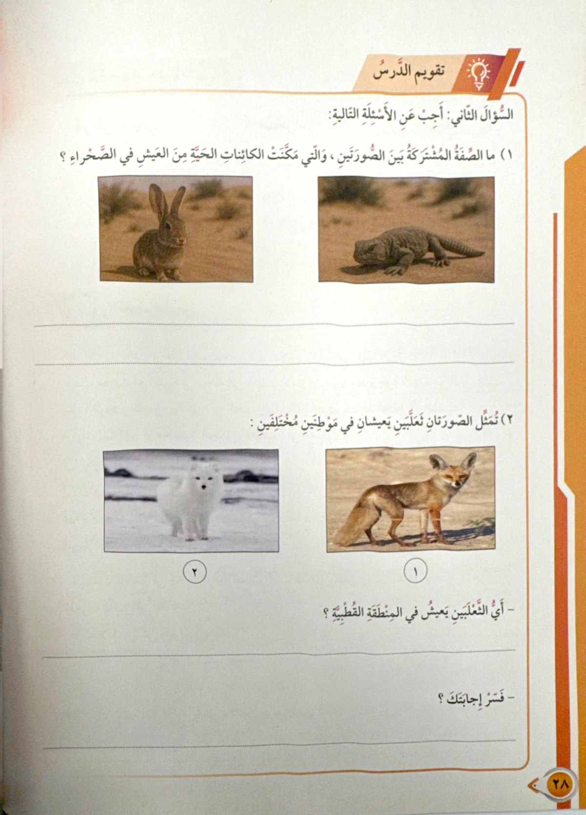 الثعالب في بيئات مختلفة 