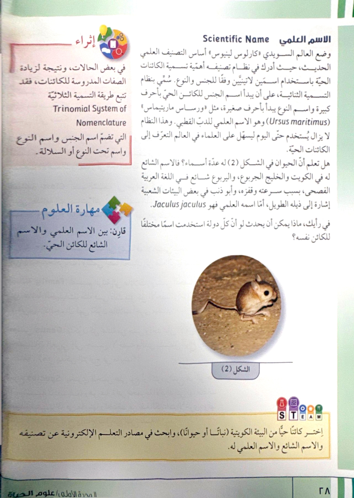 التفرقة بين الاسم العلمي والاسم الشائع