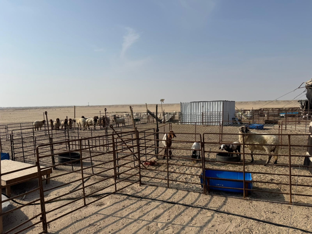 التأكد من عدم استخدام مواد تضر بالبيئة