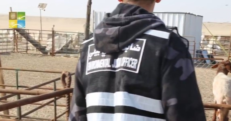 «البيئة»: رصد 5 مخالفات في المنطقة الجنوبية قرب «النويصيب» 