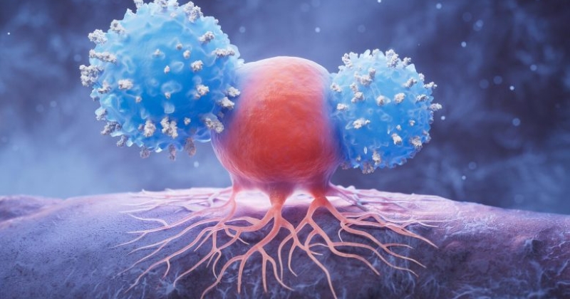 ابتكار علاج مناعي لسرطان البنكرياس 