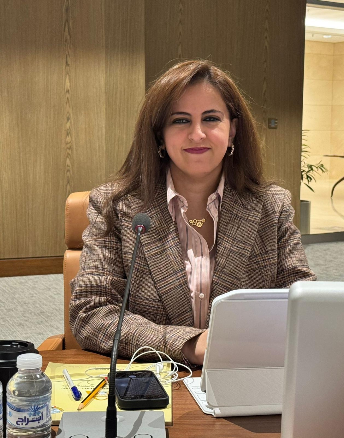 منيرة الأمير