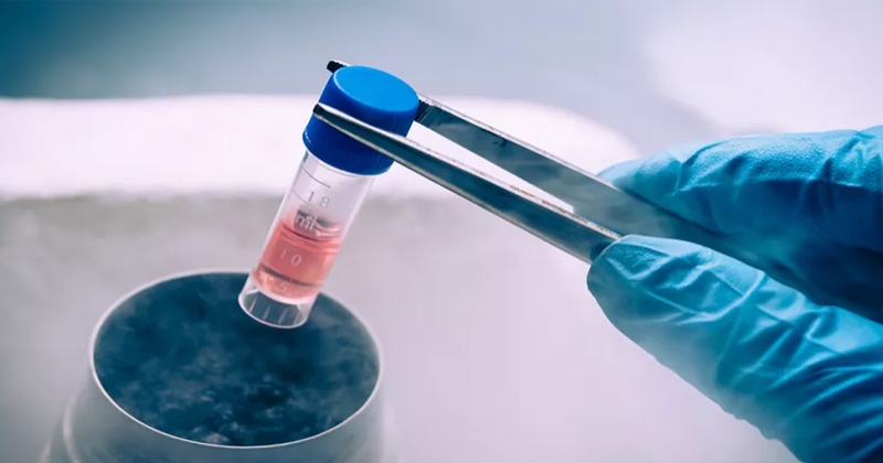 الصحة تنظم التعامل مع الخلايا الجذعية. وضعت معايير وطنية موحدة للتجميع والمعالجة والاستخدام. ضوابط صارمة تمنع بيع أو شراء الخلايا الجذعية أو الاتجار بها وتحظر تخزينها أو نقلها أو الإعلان عنها دون ترخيص رسمي 