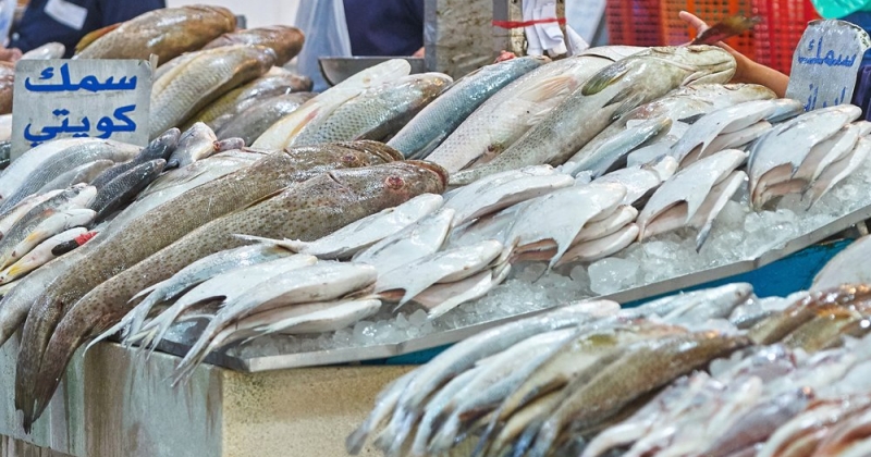 1.68 مليون طن أسماك بيعت أول 9 أشهر... بـ 3.73 مليون دينار 