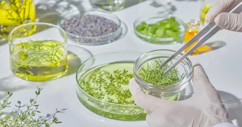 أفضل الزيوت لإنبات ونمو الشعر 