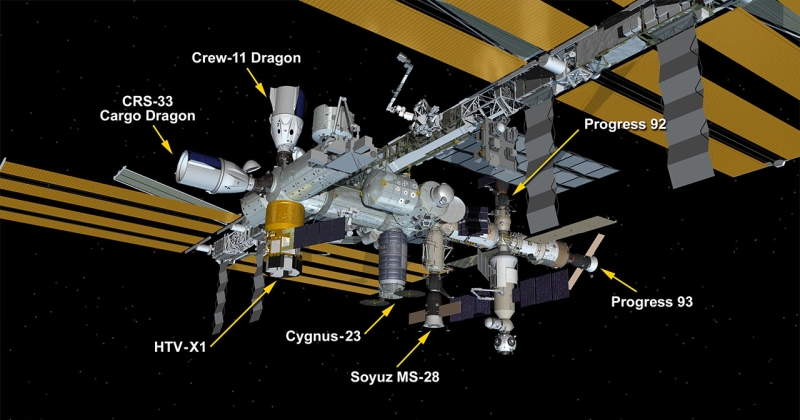 «ناسا» و«سبيس إكس» تقرران عودة طاقم «كرو-11» إلى الأرض الأربعاء 