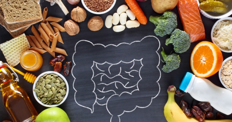 نصائح علمية لتحسين. صحة الأمعاء والجهاز الهضمي 