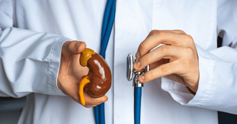 الإفراط في مشروبات الإلكتروليت... يُرهق الكليتين 