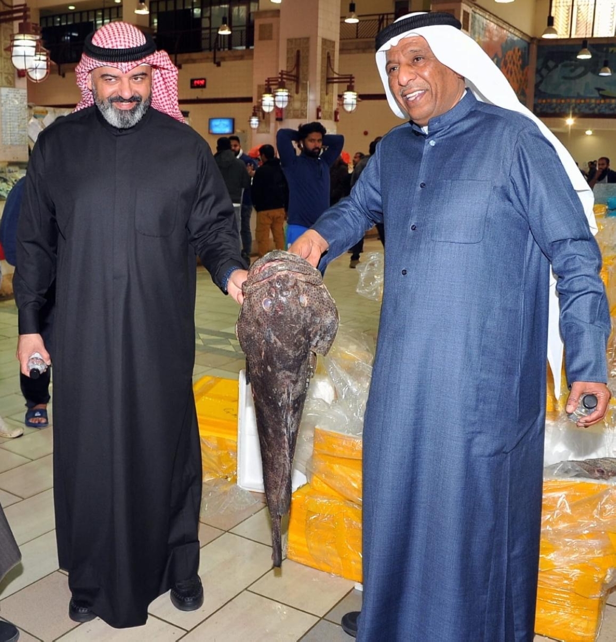 الحاي والسرهيد يعرضان سمكة مستوردة