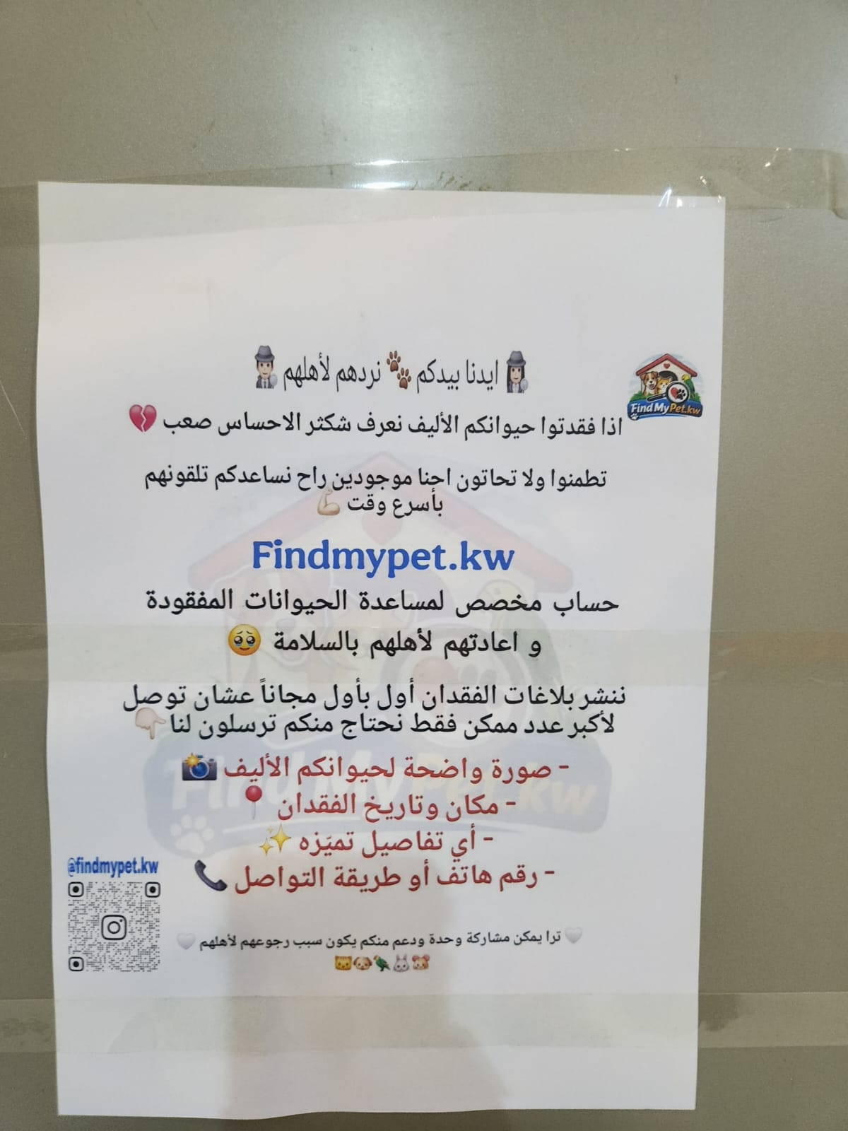 أحد منشورات الحملة   