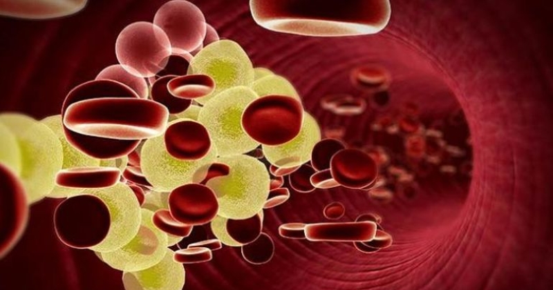 دواء فموي جديد يُخفض الدهون الثلاثية في الدم 