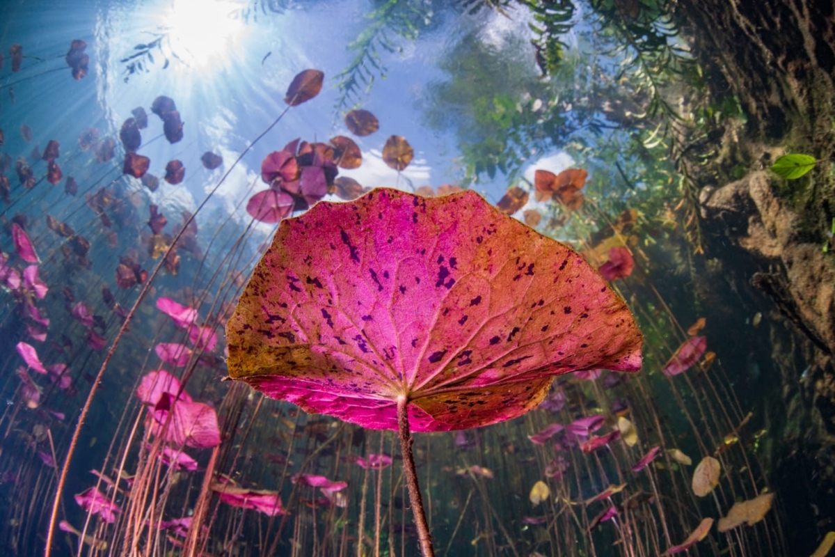 إحدى الصور الفائزة عن فئة أفضل «بورتفوليو» لسليمان العتيقي