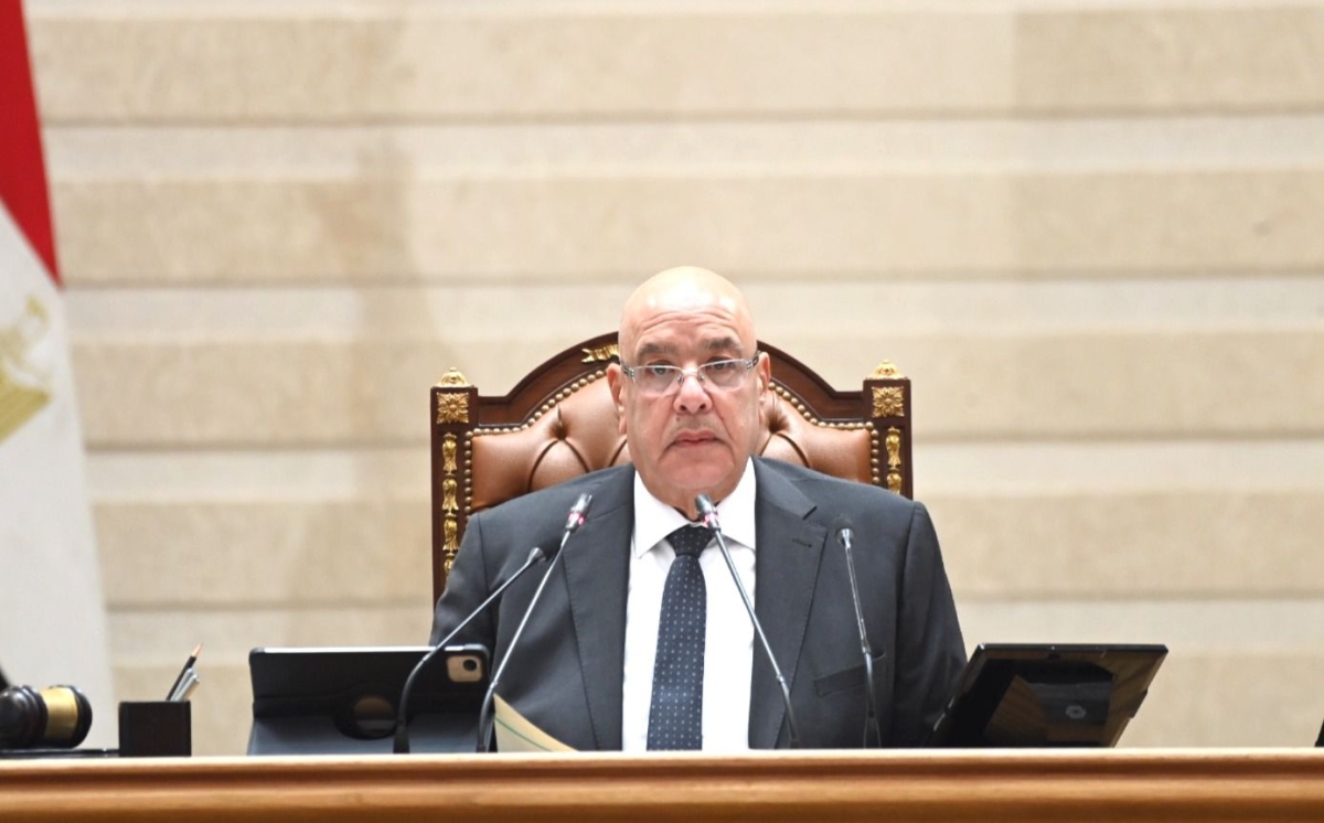 هشام بدوي خلال جلسة البرلمان