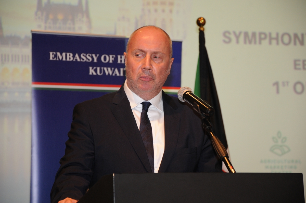 السفير الهنغاري 