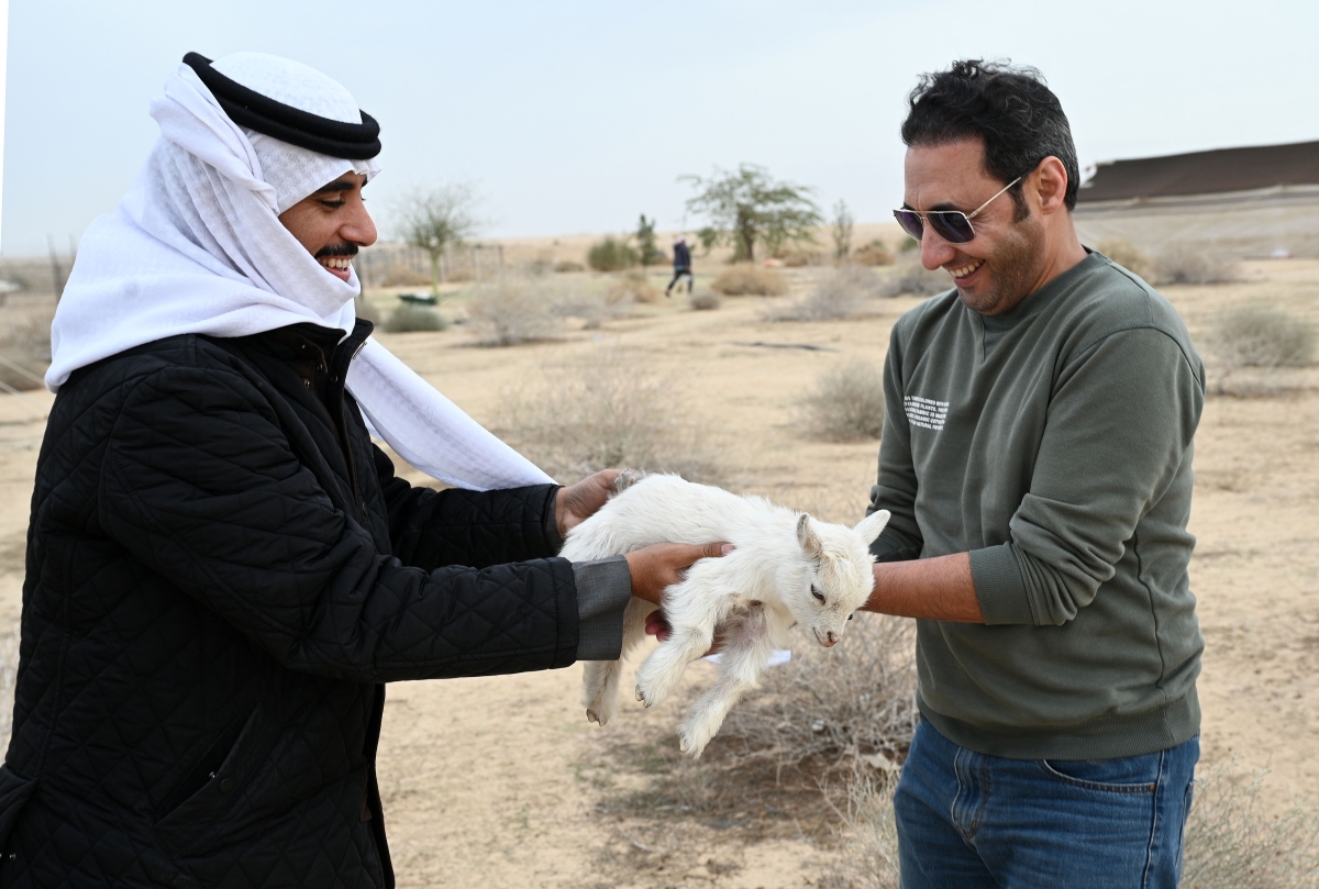 ظبي بين الأكف