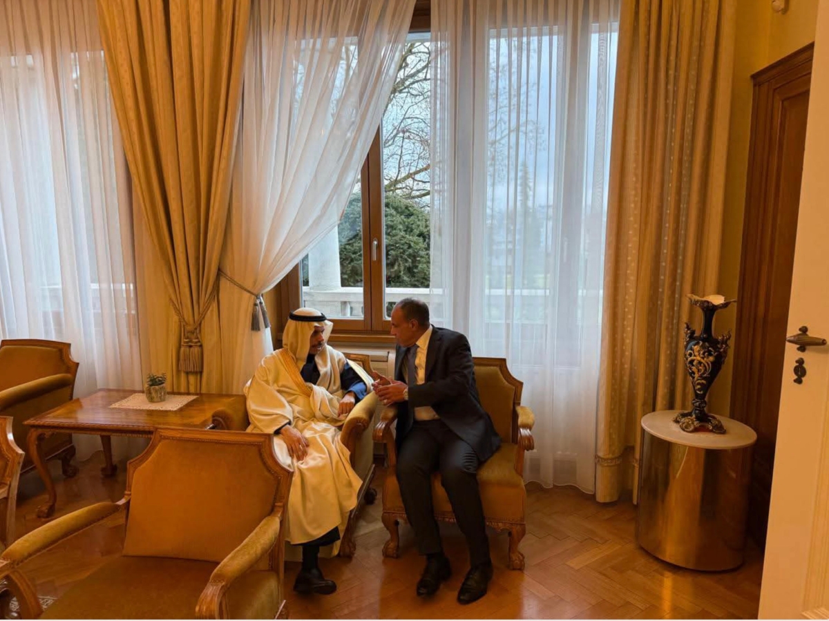 عبدالعاطي وفيصل بن فرحان خلال لقائهما في سلوفينيا