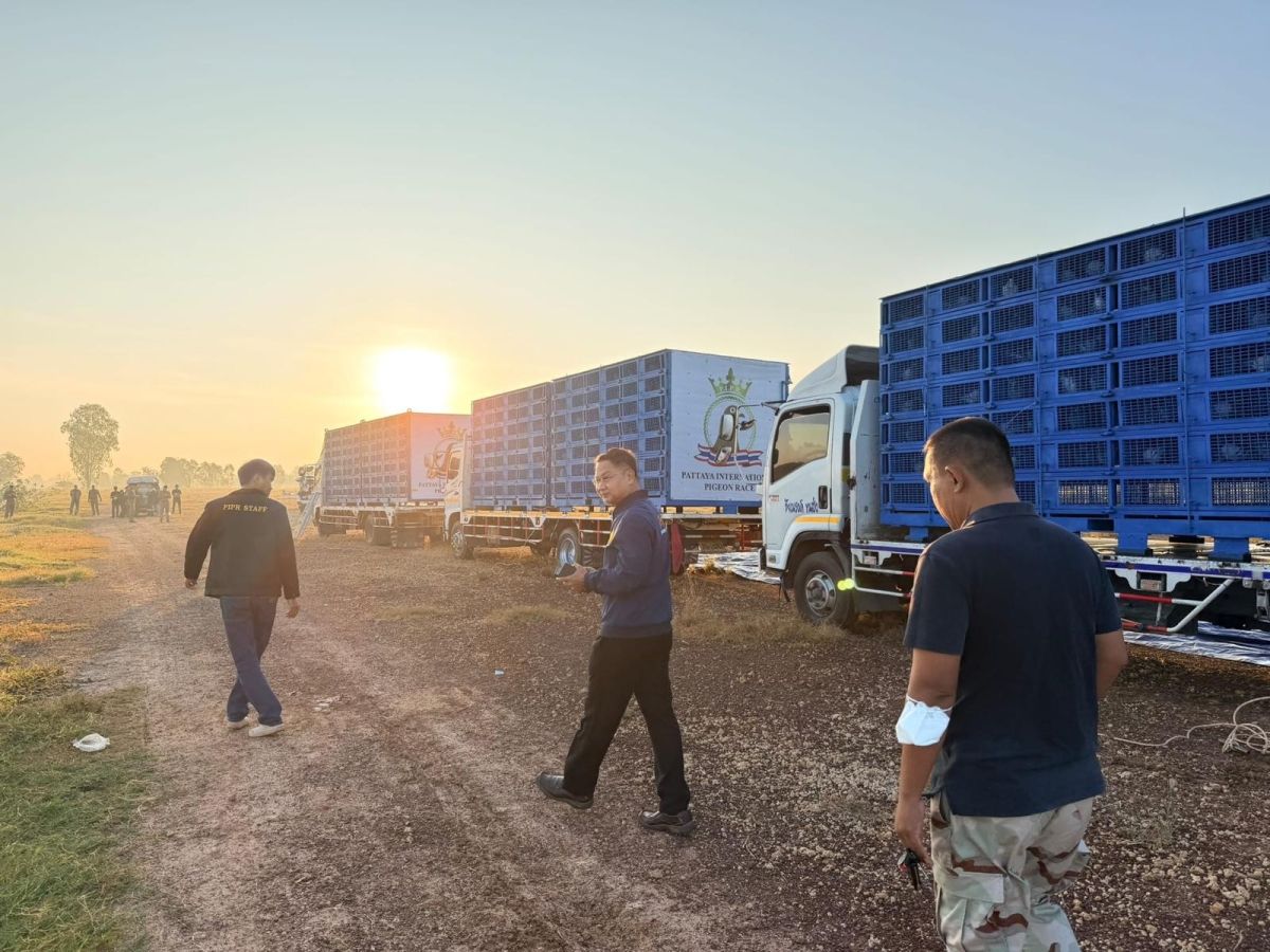 تجهيز الحمام لحلبة السابق 