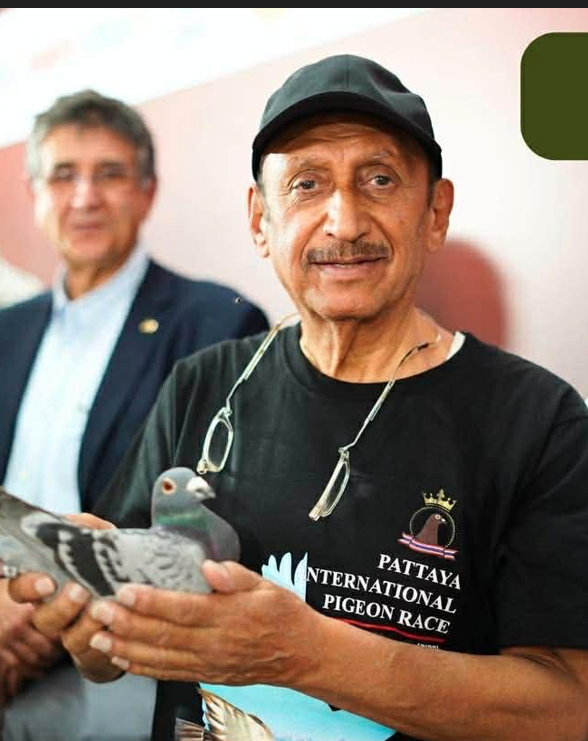 الكليب حاملاً الحمامة الفائزة 