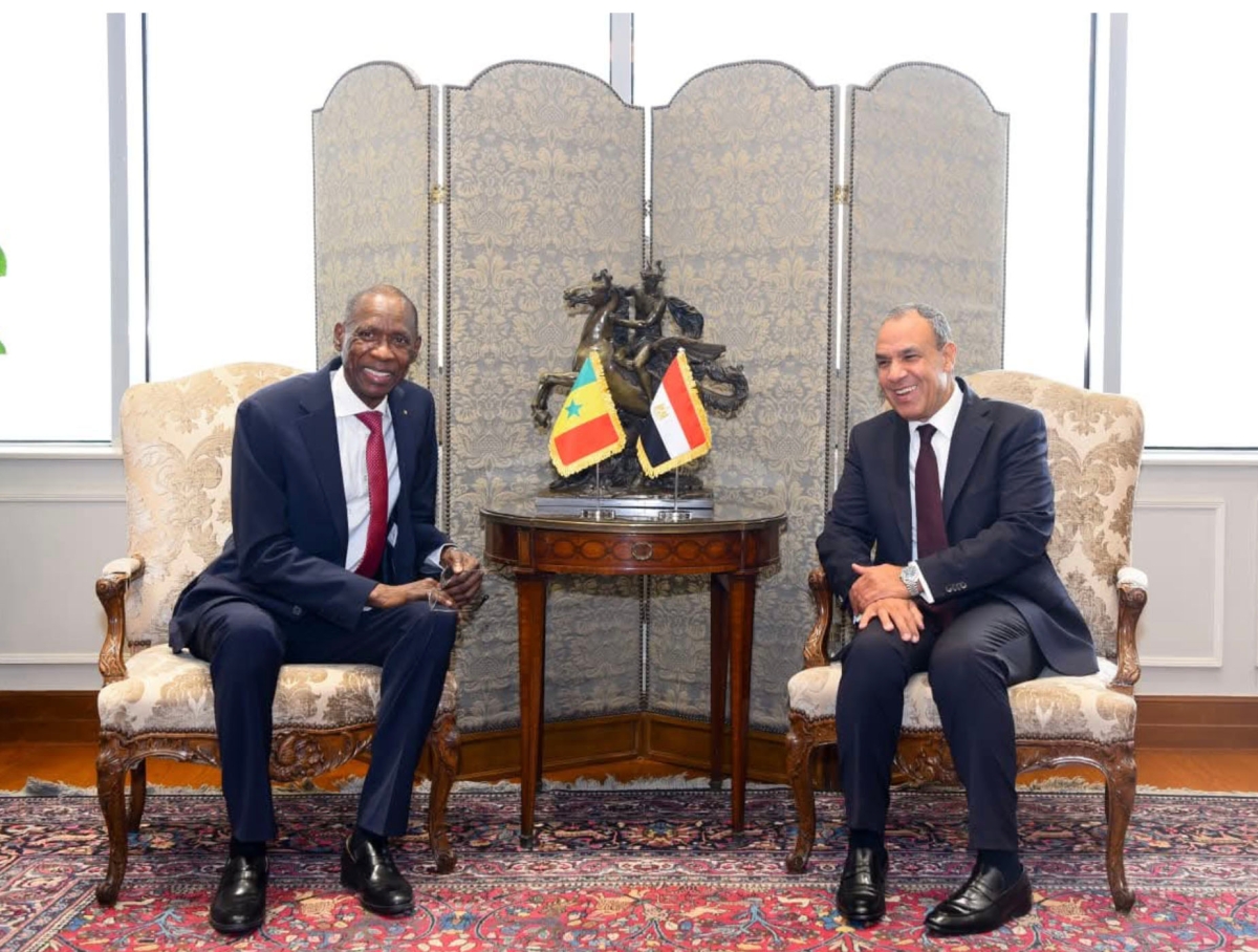 لقاء بين وزيري الخارجية المصري والسنغالي في القاهرة