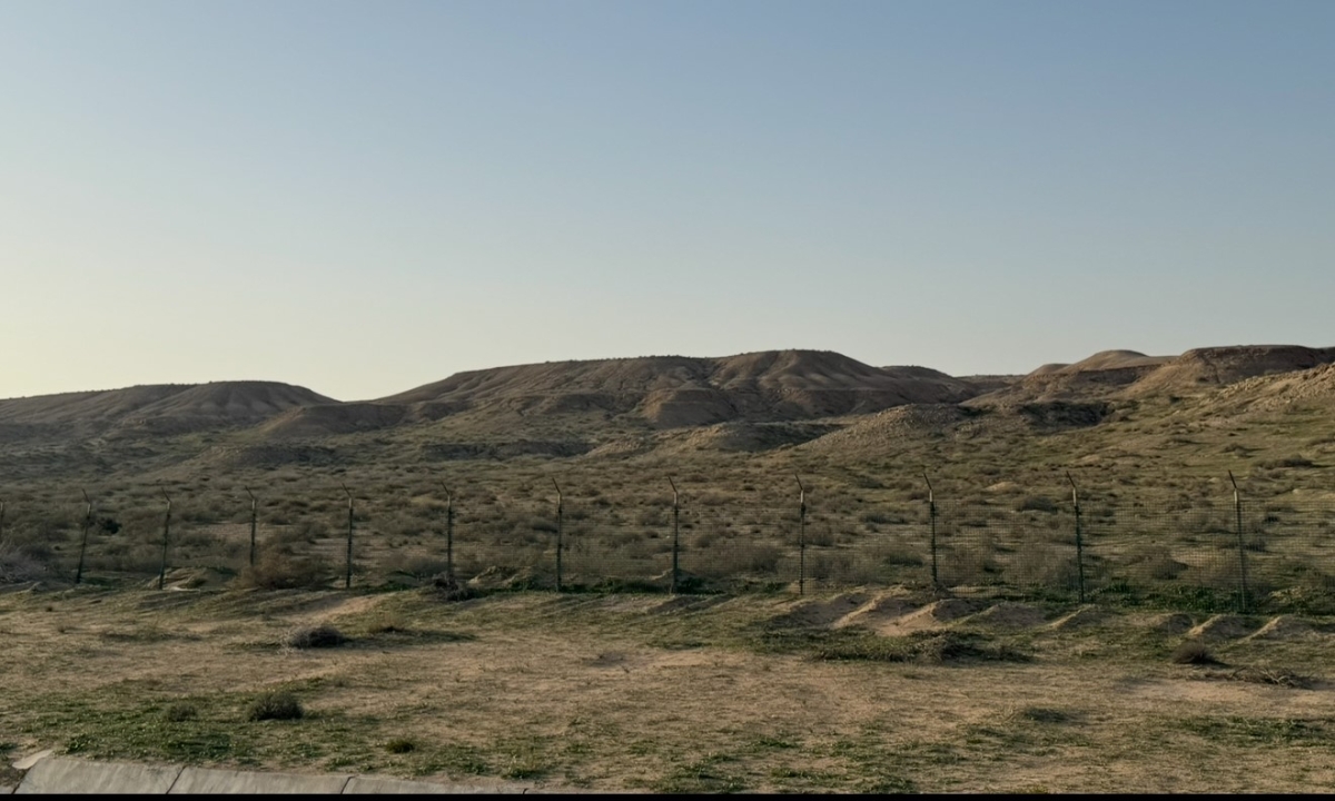 ... خضراء (تصوير سعود سالم)