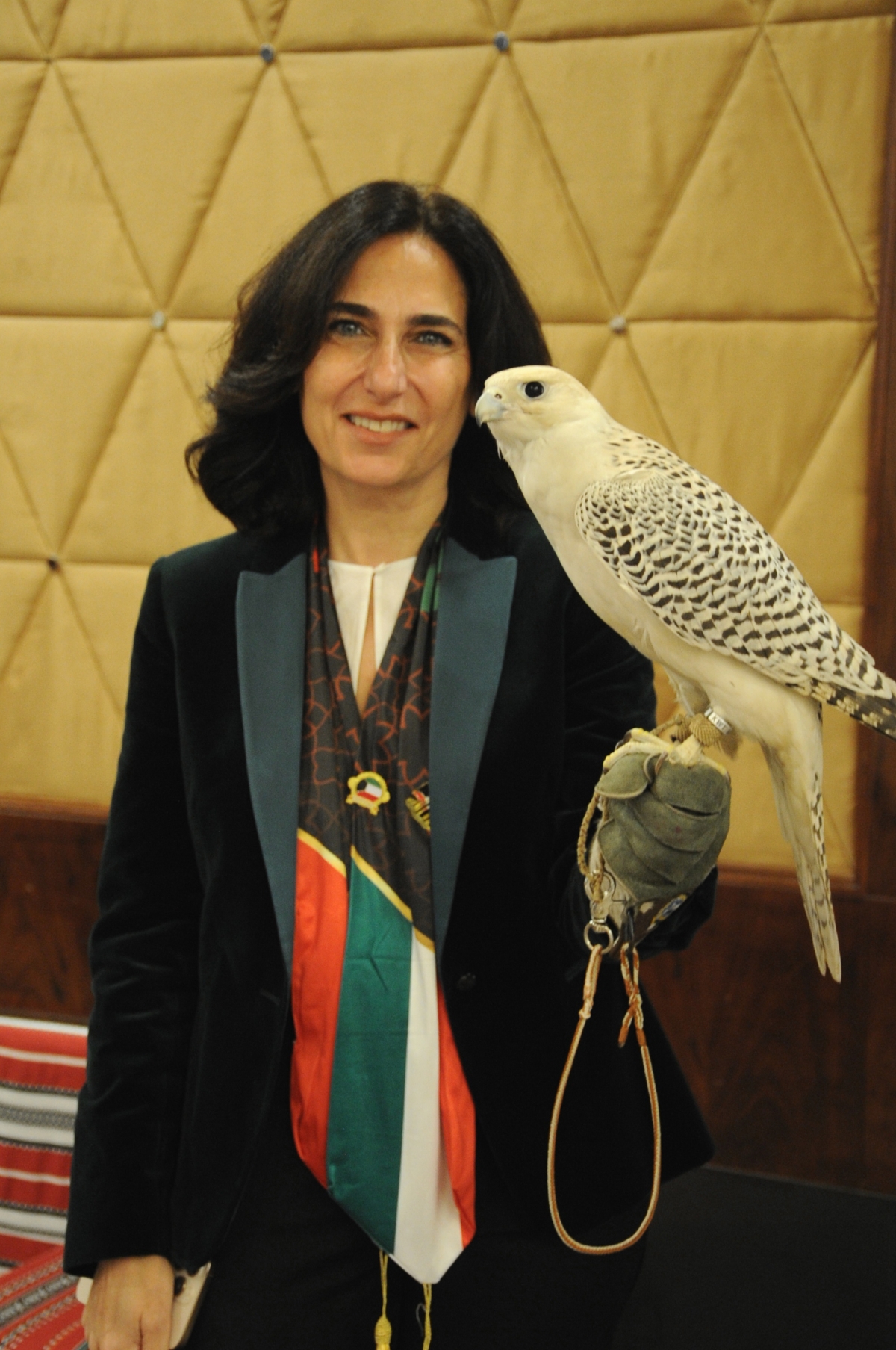 تجربة حمل الصقر