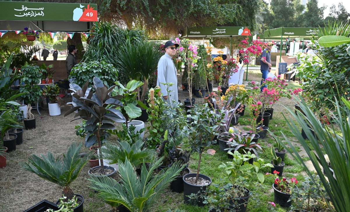 جودة المنتجات