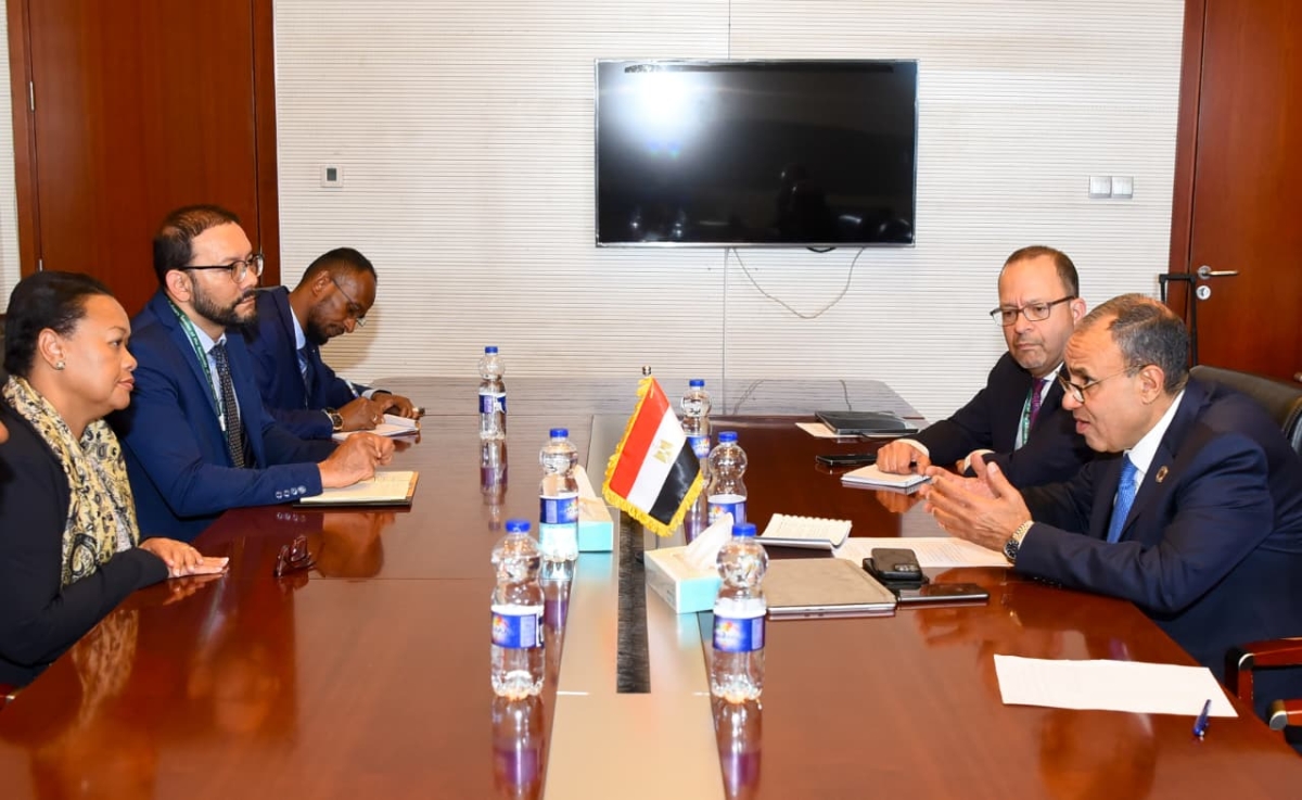 السيسي خلال اجتماع حكومي