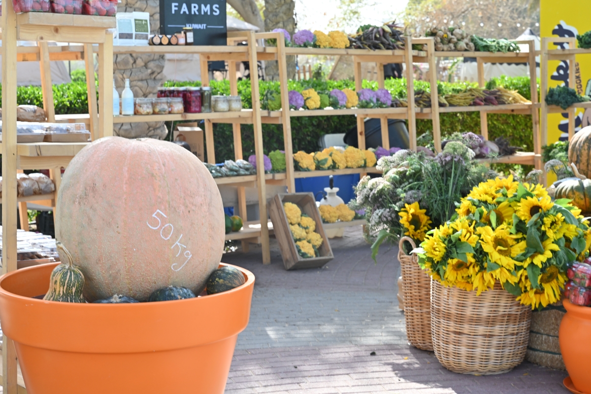 نباتات متنوعة