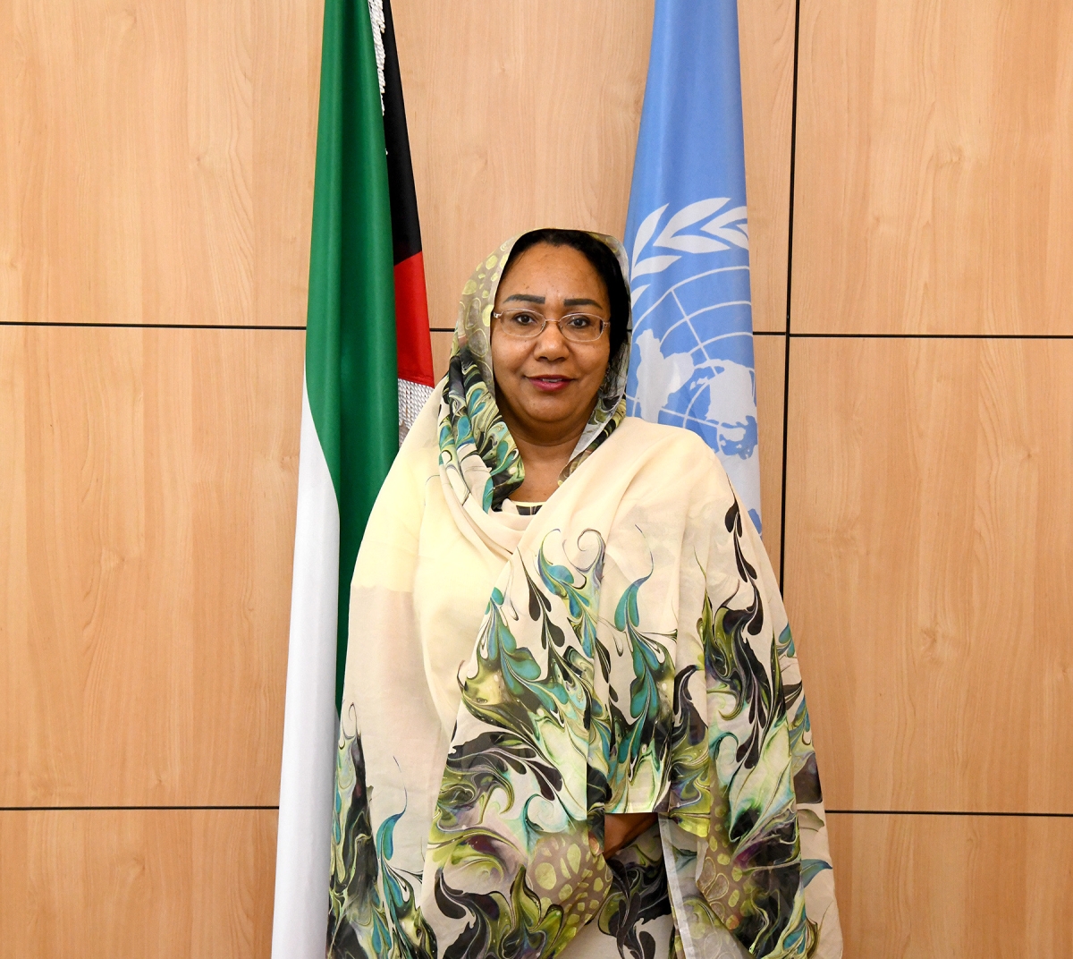 المنسقة الأممية