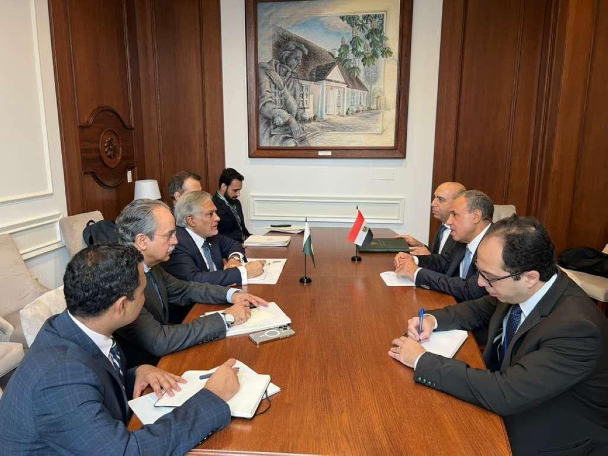 من لقاءات عبدالعاطي في نيويورك