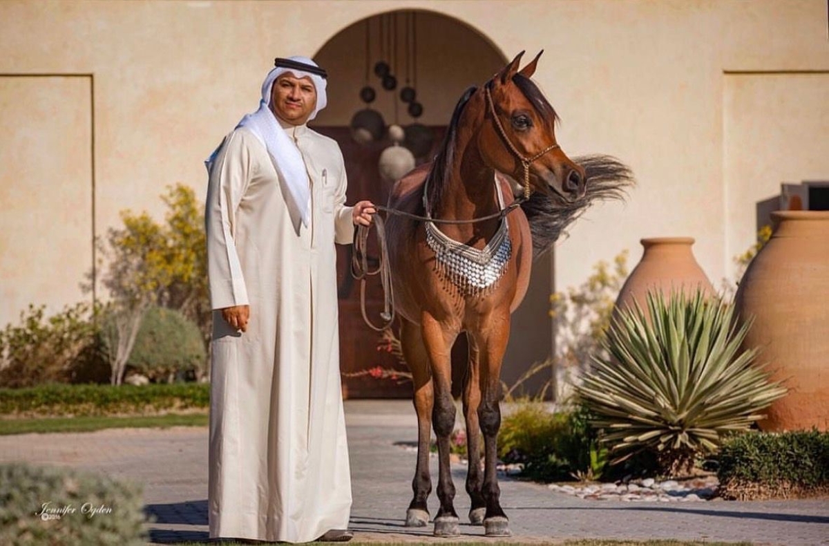 محمد المباركي