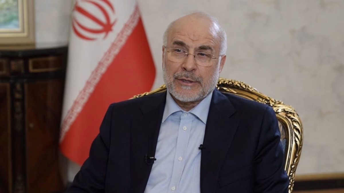 محمد باقر قاليباف 