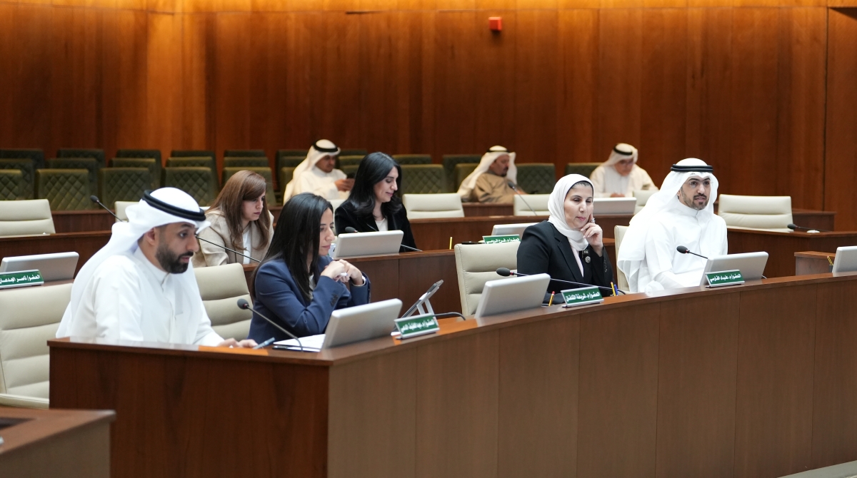 الأعضاء خلال الجلسة 