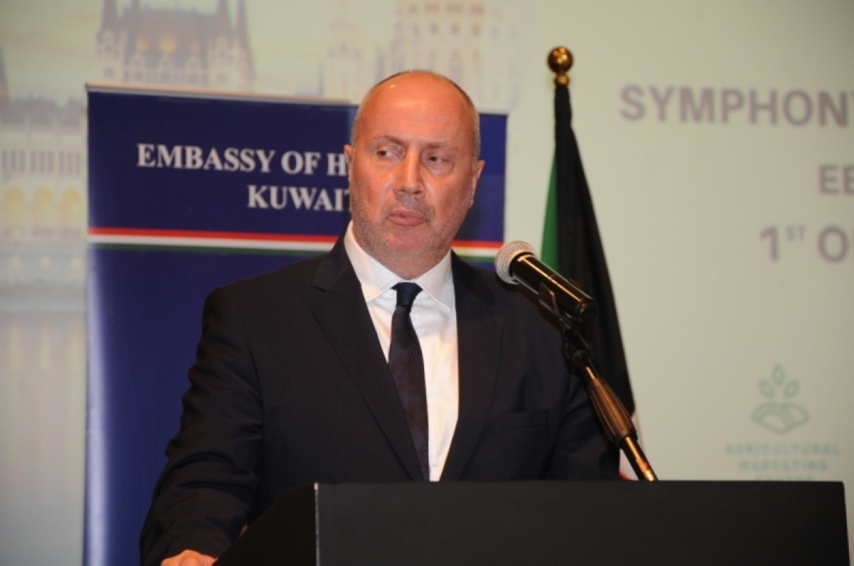 سفير هنغاريا