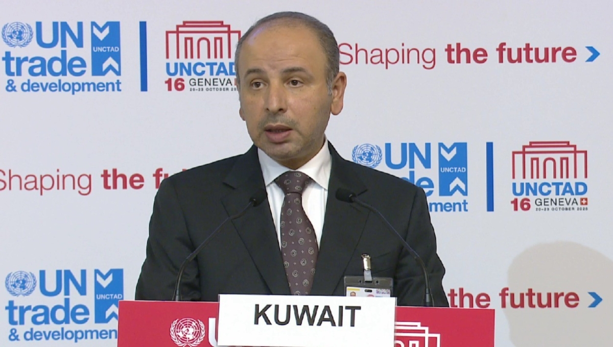 السفير ناصر الهين