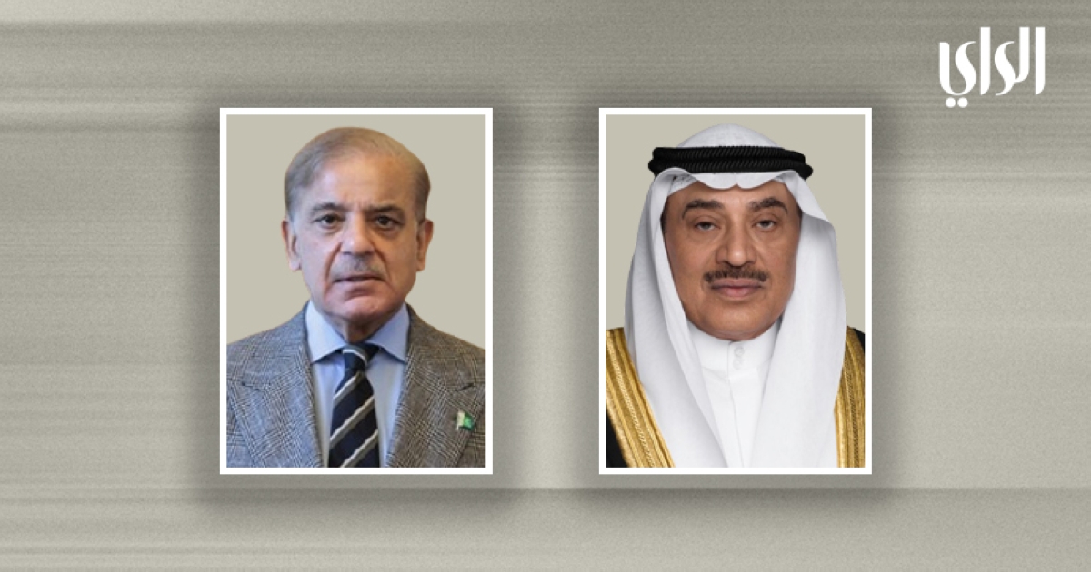 بورتريه خفيف copy