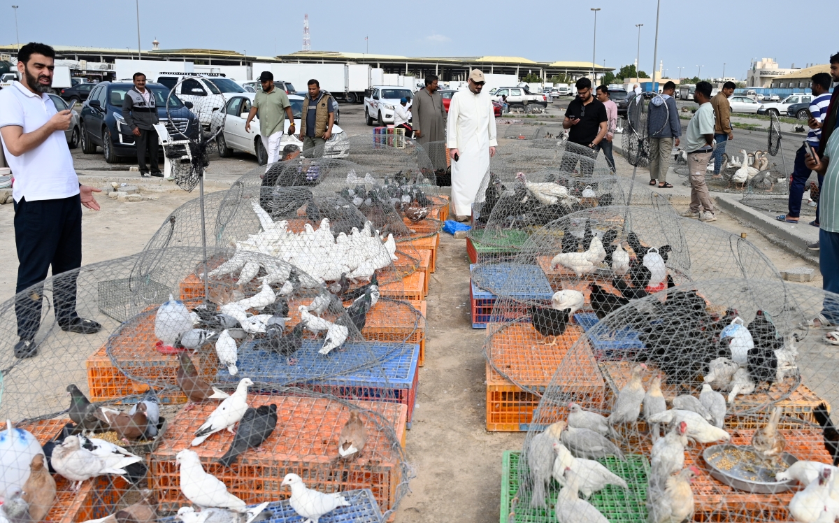  أنواع مختلفة في سوق الطيور        (تصوير سعود سالم)
