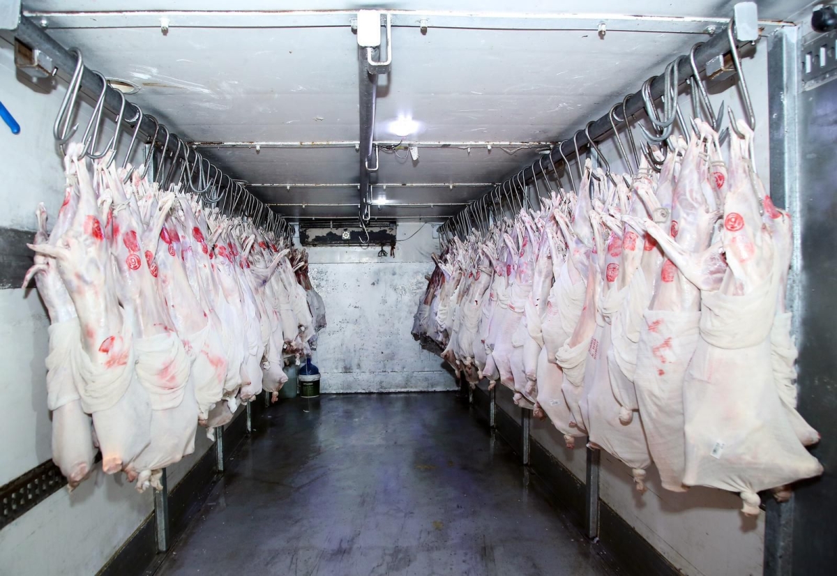 شحنة لحوم وصلت إلى البلاد