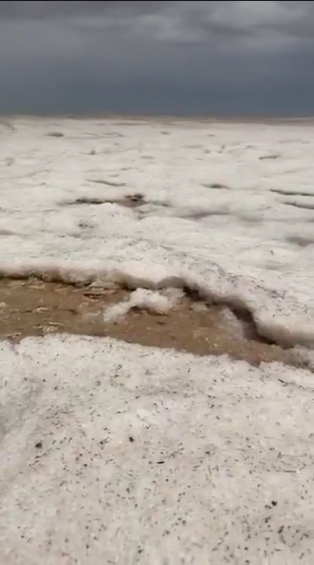 لقطة من فيديو نشرته «أرصاد قطر» تُظهر حبات البردي وهي تعانق الرمال