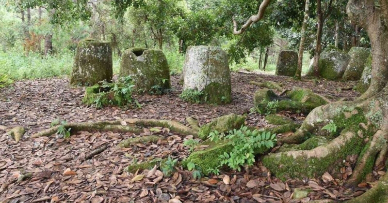 أقدم «مرصد مناخي بيولوجي» في العالم... مستمر منذ 2000 عام!