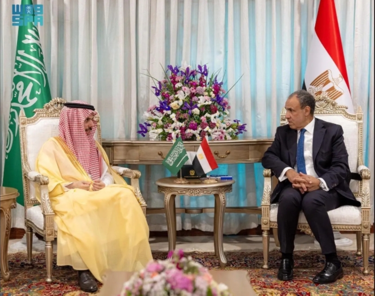 عبدالعاطي وفيصل بن فرحان خلال لقائهما في إسلام آباد