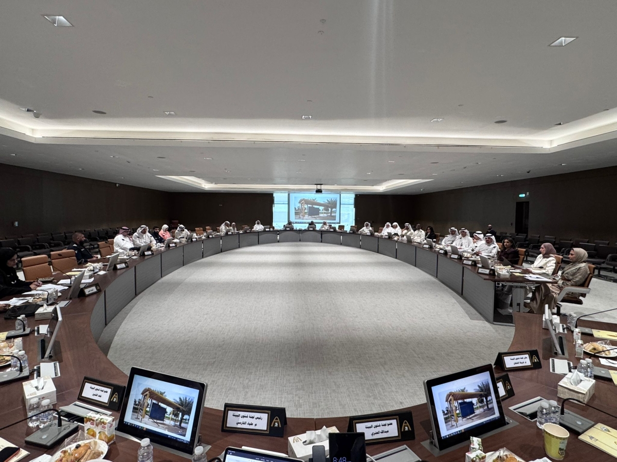 جانب من ورشة العمل بمشاركة الجهات الحكومية