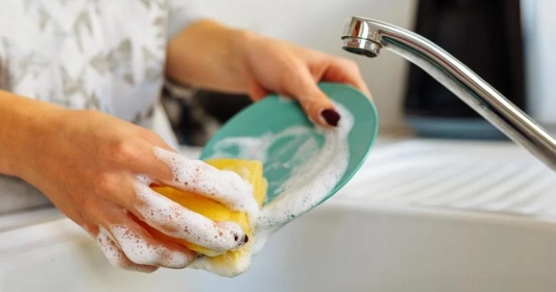 حذار من إسفنجة المطبخ 