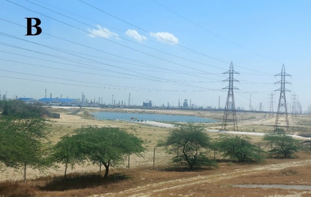 بحيرة وادي الأحمدي