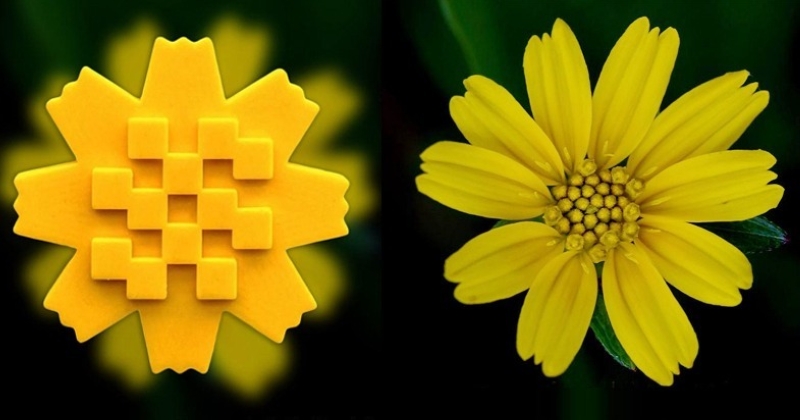 وزارة النفط تدعم مبادرة «زهرة العرفج»: بأبناء الكويت.. يعلو المجد ولا ينحني