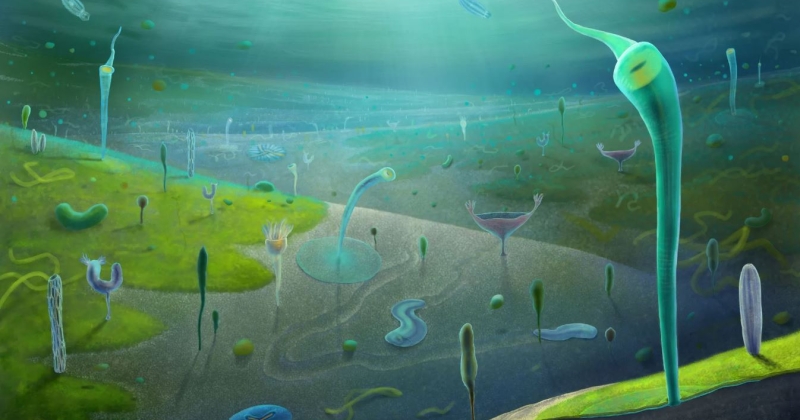 حفريات صينية تكشف عن كائنات بحرية عاشت قبل 546 مليون عام 
