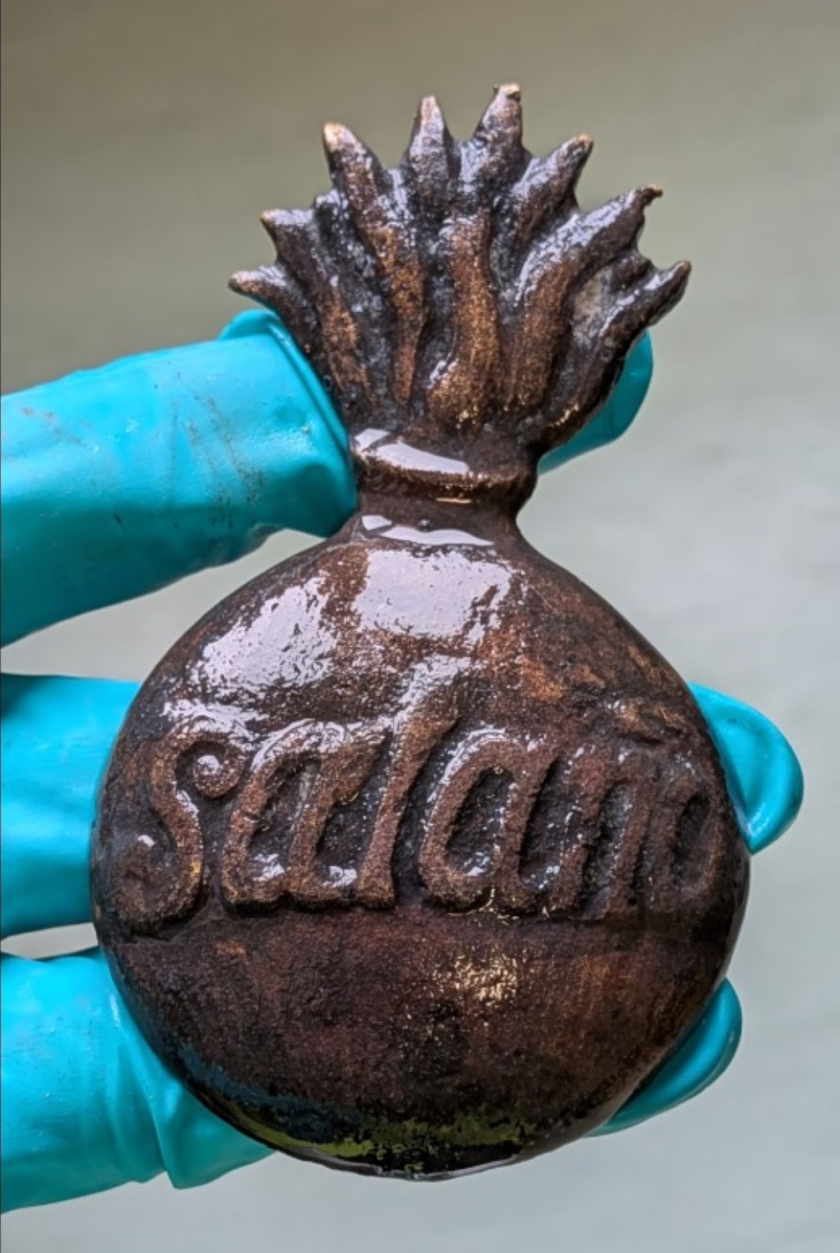 شارة زي رسمي عُثر عليها في موقع الحطام