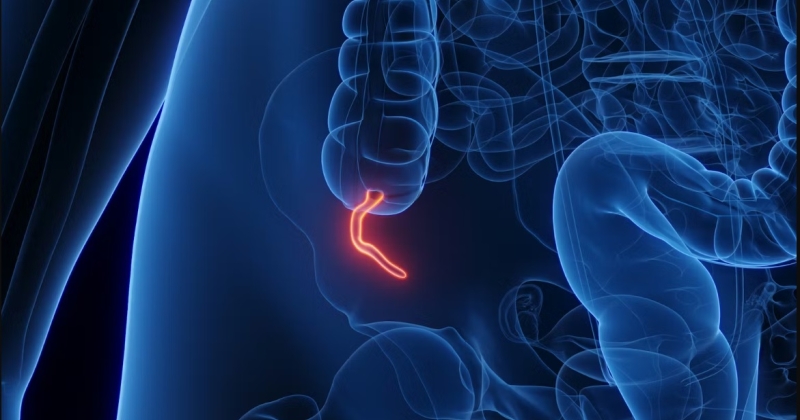 وأخيراً... اكتشاف فائدة الزائدة الدودية !
